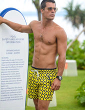 Load image into Gallery viewer, Spade (Copy) 18 09 25