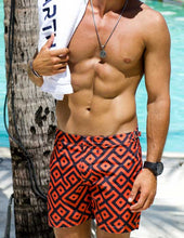 Load image into Gallery viewer, Maze