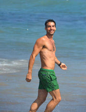 Load image into Gallery viewer, Moss