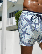 Load image into Gallery viewer, Starfish