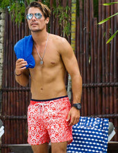 Load image into Gallery viewer, Red Milky Way