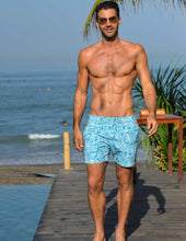 Load image into Gallery viewer, Triangles