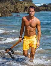 Load image into Gallery viewer, Yellow