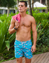 Load image into Gallery viewer, Flamingo