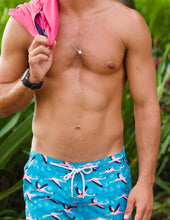 Load image into Gallery viewer, Flamingo