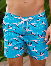 Load image into Gallery viewer, Flamingo