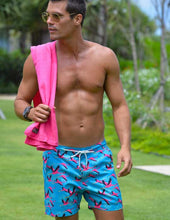 Load image into Gallery viewer, Flamingo