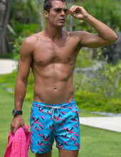 Load image into Gallery viewer, Flamingo