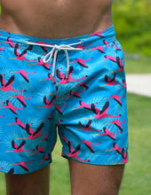 Load image into Gallery viewer, Flamingo