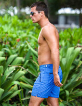 Load image into Gallery viewer, Andy Blue