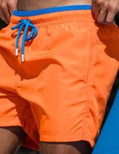 Load image into Gallery viewer, Solids