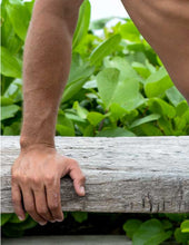 Load image into Gallery viewer, Royal Blue & White