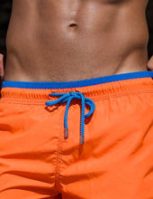 Load image into Gallery viewer, Solids