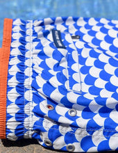 Load image into Gallery viewer, Scales