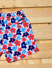 Load image into Gallery viewer, Portulaca