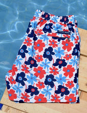 Load image into Gallery viewer, Portulaca