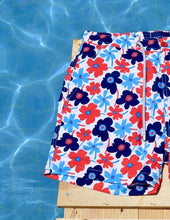 Load image into Gallery viewer, Portulaca