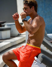 Load image into Gallery viewer, Maze