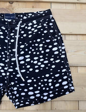 Load image into Gallery viewer, Beetle