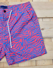 Load image into Gallery viewer, Zebra