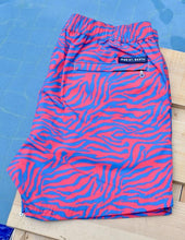 Load image into Gallery viewer, Zebra