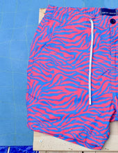 Load image into Gallery viewer, Zebra