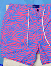 Load image into Gallery viewer, Zebra