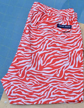 Load image into Gallery viewer, Zebra