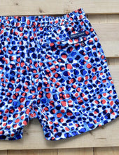 Load image into Gallery viewer, Leopard