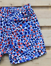 Load image into Gallery viewer, Leopard