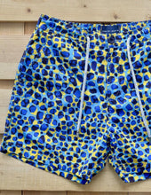 Load image into Gallery viewer, Leopard