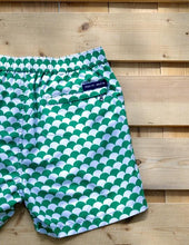 Load image into Gallery viewer, Scales