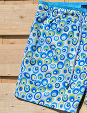 Load image into Gallery viewer, Planets