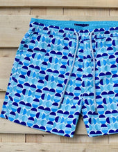 Load image into Gallery viewer, Moon