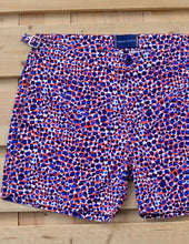 Load image into Gallery viewer, Small Leopard