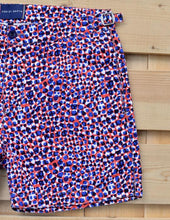 Load image into Gallery viewer, Small Leopard