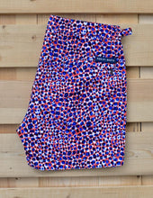 Load image into Gallery viewer, Small Leopard