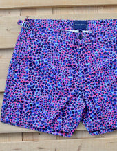 Load image into Gallery viewer, Small Leopard