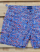 Load image into Gallery viewer, Small Leopard