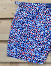 Load image into Gallery viewer, Small Leopard