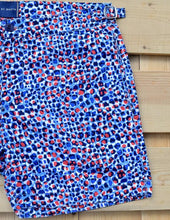 Load image into Gallery viewer, Small Leopard