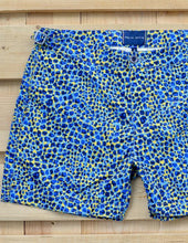 Load image into Gallery viewer, Small Leopard