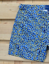 Load image into Gallery viewer, Small Leopard