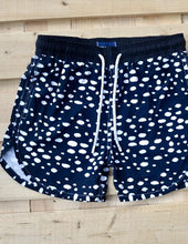 Load image into Gallery viewer, Beetle