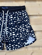 Load image into Gallery viewer, Beetle