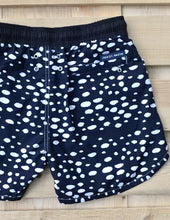 Load image into Gallery viewer, Beetle