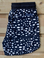 Load image into Gallery viewer, Beetle