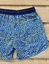 Load image into Gallery viewer, Leopard