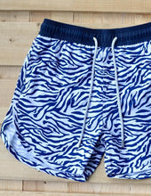 Load image into Gallery viewer, Zebra