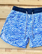 Load image into Gallery viewer, Zebra